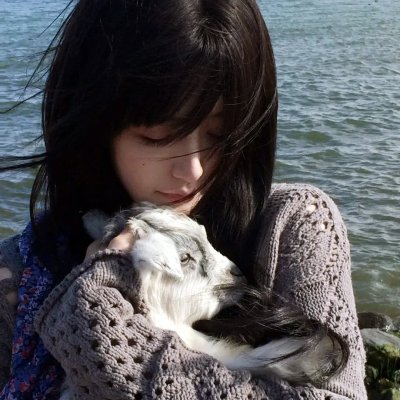 猪猪侠第四部:百变猪猪侠